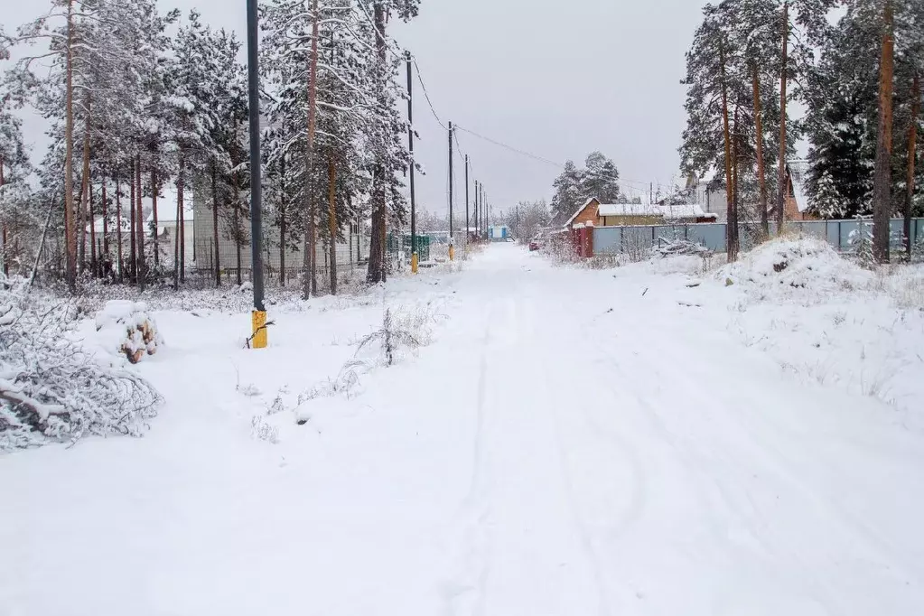 Участок в Ханты-Мансийский АО, Сургутский район, Барсово городское ... - Фото 1