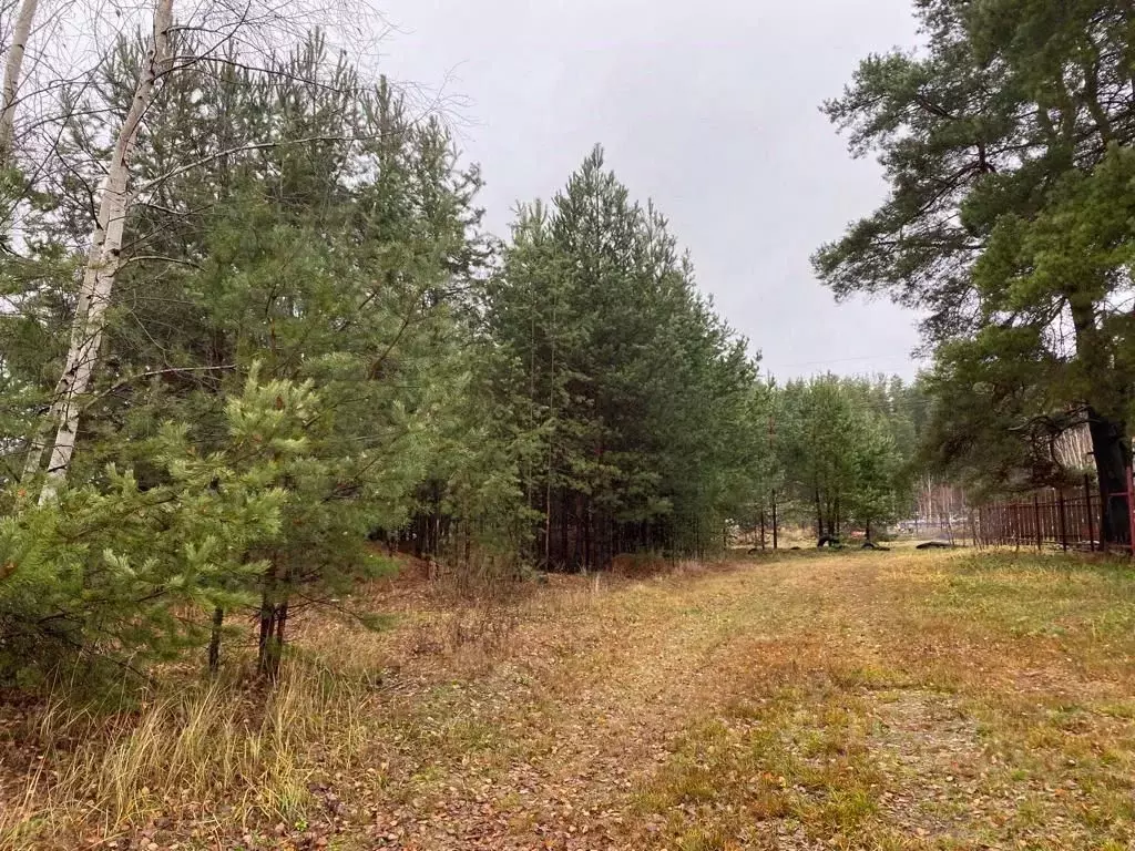 Участок в Нижегородская область, Городецкий муниципальный округ, д. ... - Фото 1