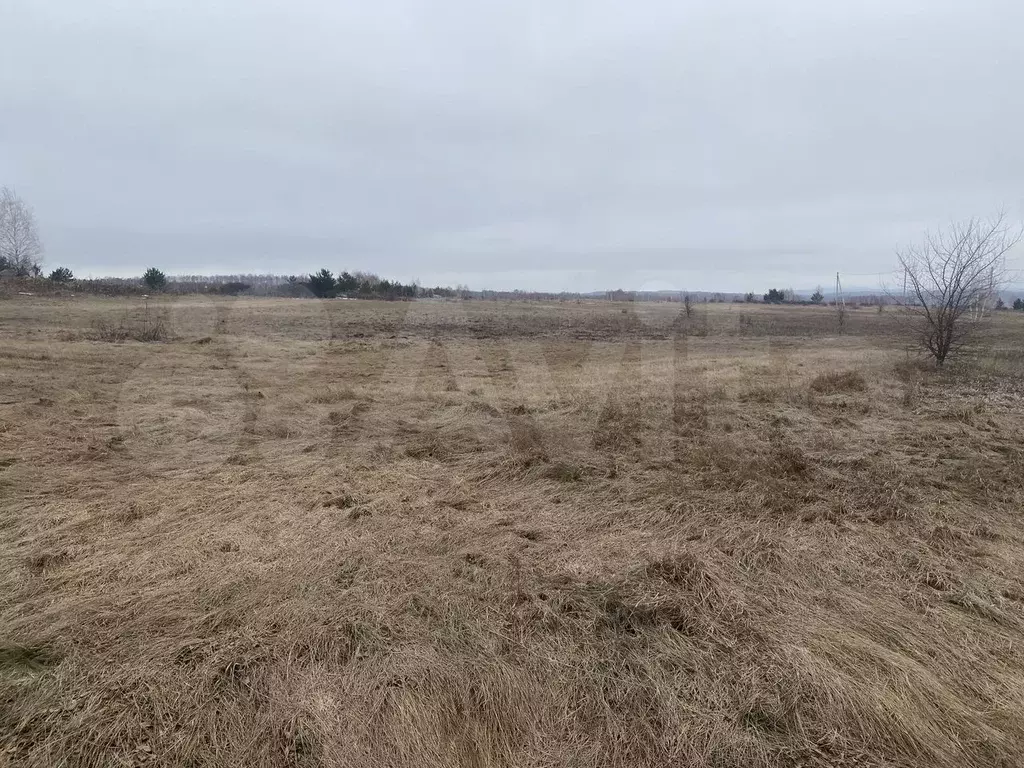 Участок 20,3 сот. (СНТ, ДНП) - Фото 0