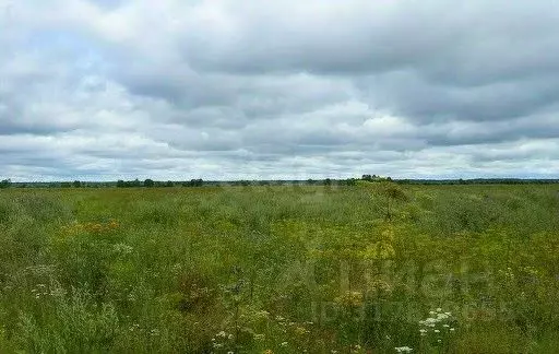 Участок в Ленинградская область, Кингисеппский район, Опольевское ... - Фото 0