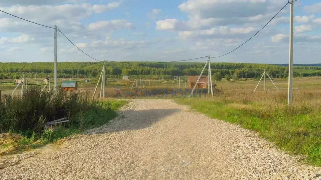 Участок в Нижегородская область, Богородский муниципальный округ, д. ... - Фото 1
