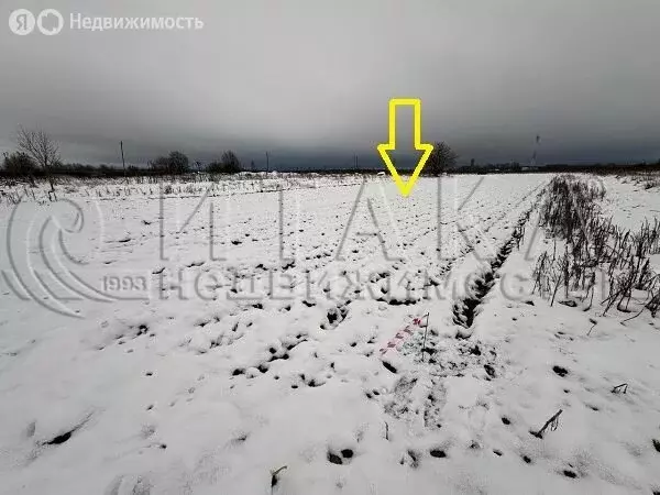 Участок в Рабитицкое сельское поселение, деревня Лиможа (18 м) - Фото 1