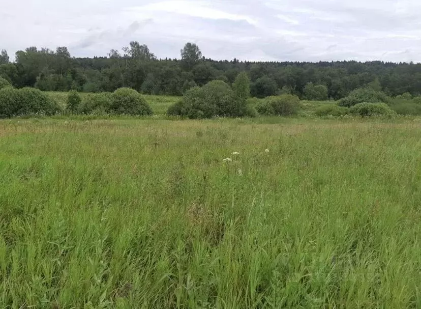 Участок в Московская область, Наро-Фоминский городской округ, д. ... - Фото 1