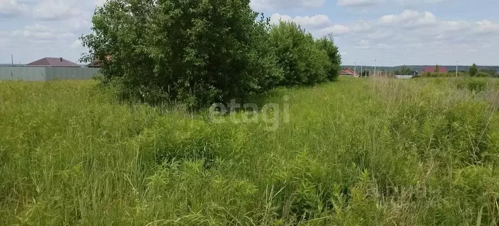 Участок в Тульская область, Тула муниципальное образование, с. ... - Фото 1