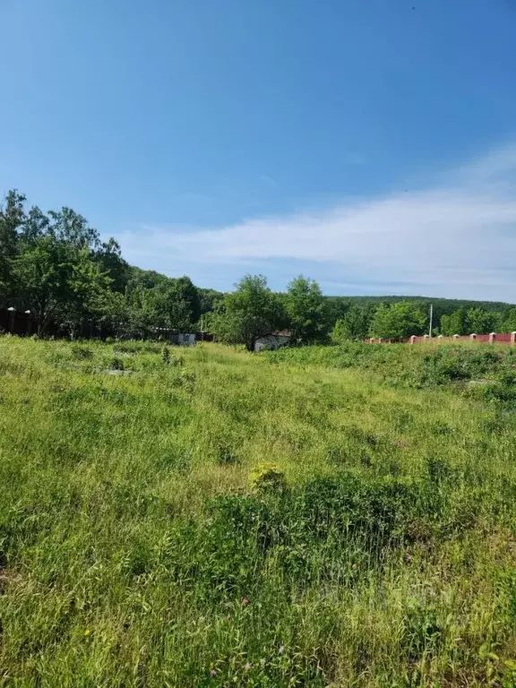 Участок в Самарская область, Жигулевск городской округ, с. Солнечная ... - Фото 1