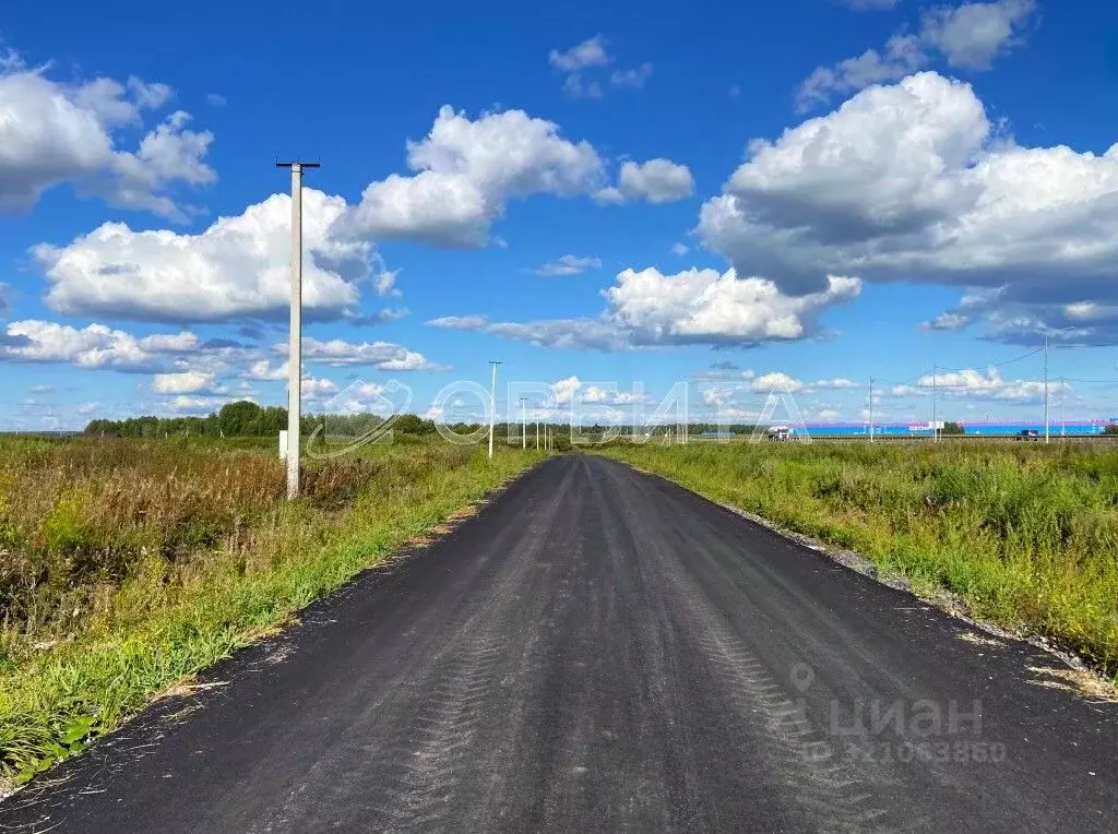 Участок в Тюменская область, Тюменский район, д. Малиновка ул. ... - Фото 2