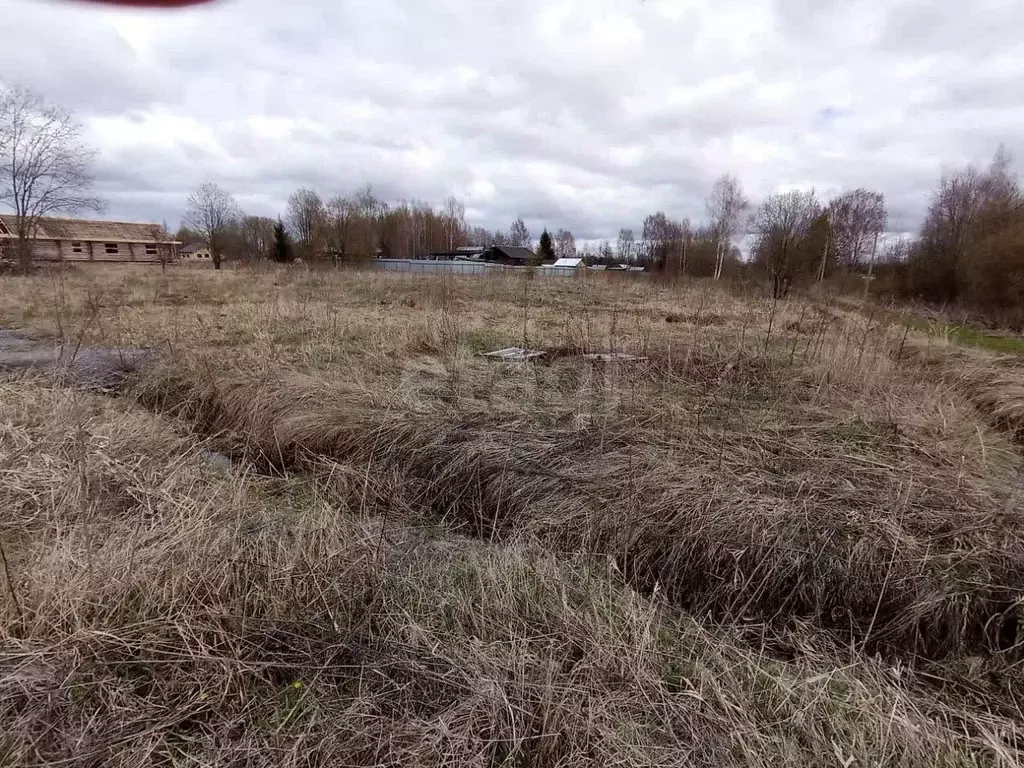 Участок в Вологодская область, Череповецкий район, Югское ... - Фото 1