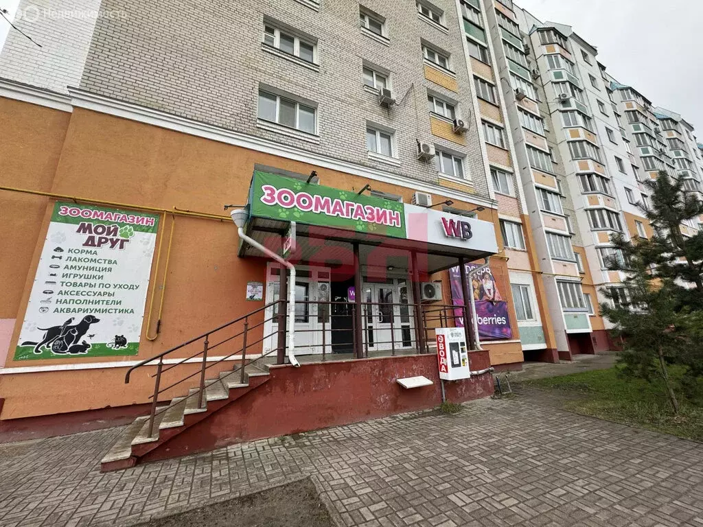 Помещение свободного назначения (34.4 м) - Фото 2