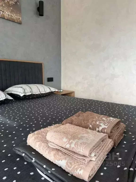 Студия Северная Осетия, Владикавказ ул. Астана Кесаева, 44В (40.0 м) - Фото 2