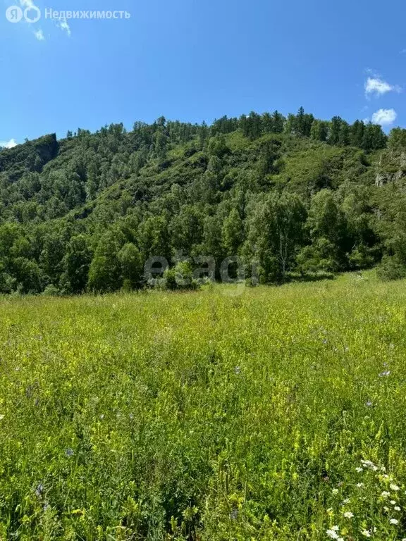 Участок в Шебалинский район, село Мыюта (350 м) - Фото 1