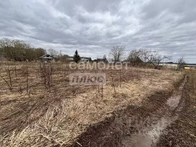 Участок в Вологодская область, Можайское садоводческое товарищество ... - Фото 2