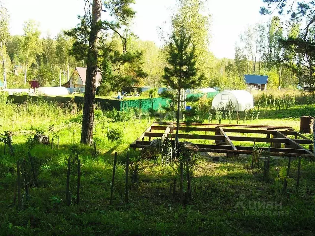 Участок в Новосибирская область, Новосибирский район, Барышевский ... - Фото 0