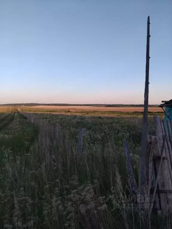 Участок в Челябинская область, Чебаркульский муниципальный округ, д. ... - Фото 2