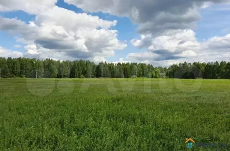 Участок 6,5 сот. (ИЖС) - Фото 0