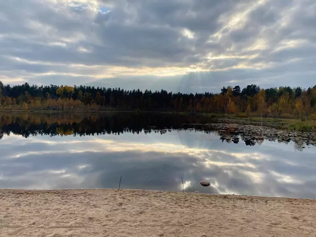 Участок в Ленинградская область, Приозерский район, Сосновское с/пос, ... - Фото 0