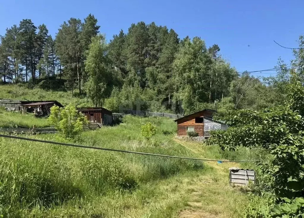 Участок в Алтай, Чемальский район, с. Чемал Заречная ул., 15 (14.0 ... - Фото 1