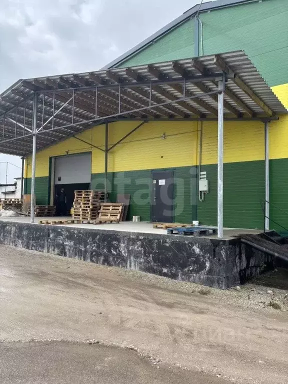 Помещение свободного назначения в Псковская область, Псков ул. Леона ... - Фото 1