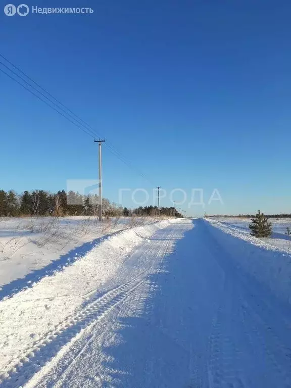 Участок в Санниковский сельсовет, СНТ ДП Снегири (10 м) - Фото 2