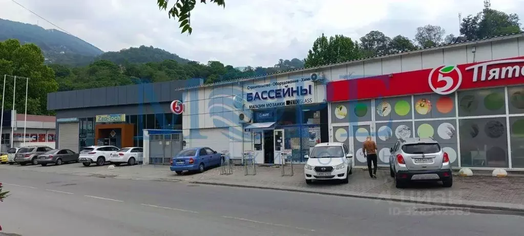 Помещение свободного назначения в Краснодарский край, Сочи ... - Фото 2