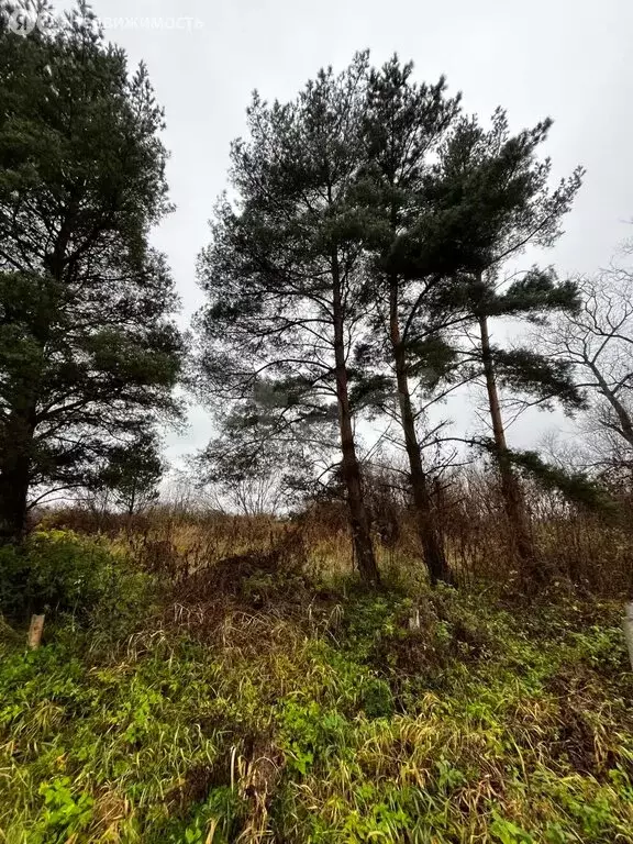 Дом в Калининградская область, Полесский муниципальный округ, посёлок ... - Фото 2