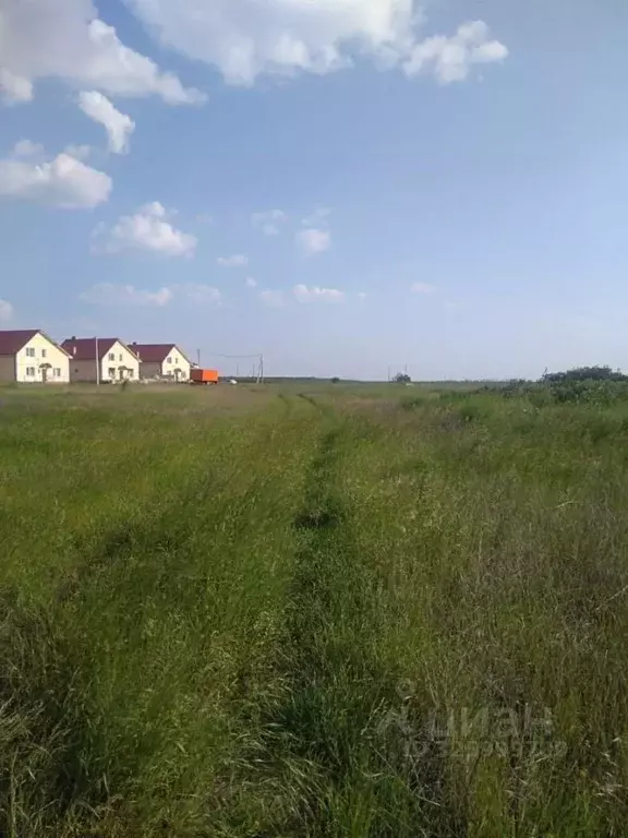 Участок в Краснодарский край, Ейский район, Александровское с/пос, с. ... - Фото 2