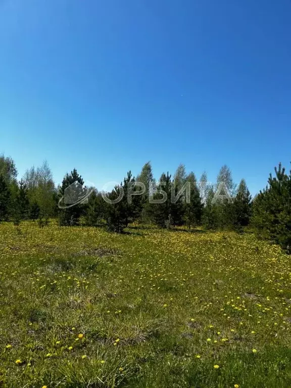 Участок в Тюменская область, Тюменский район, с. Кулига, Кулига-2 мкр  ... - Фото 1