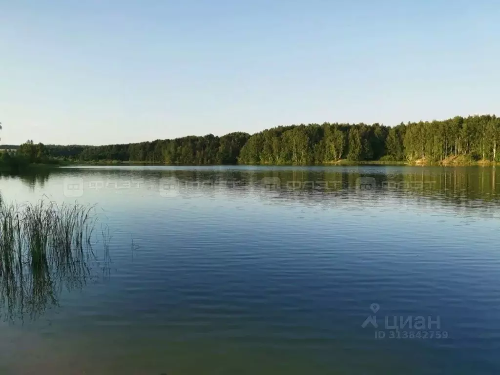 Участок в Татарстан, Зеленодольский район, Большеключинское с/пос, с. ... - Фото 1