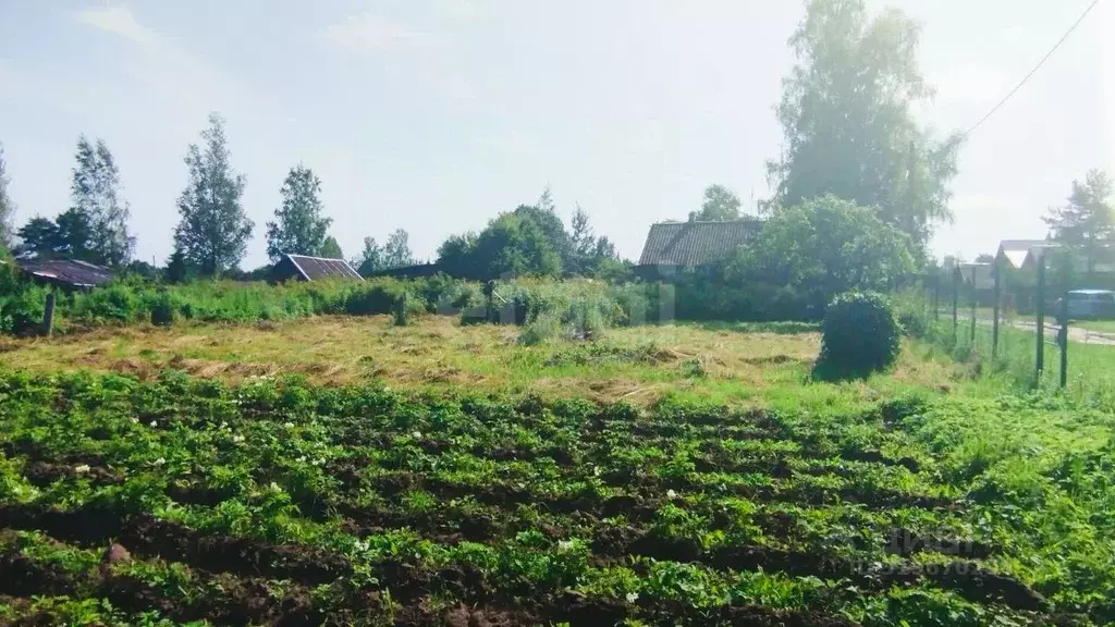 Участок в Ленинградская область, Киришский район, Глажевское с/пос, ... - Фото 1