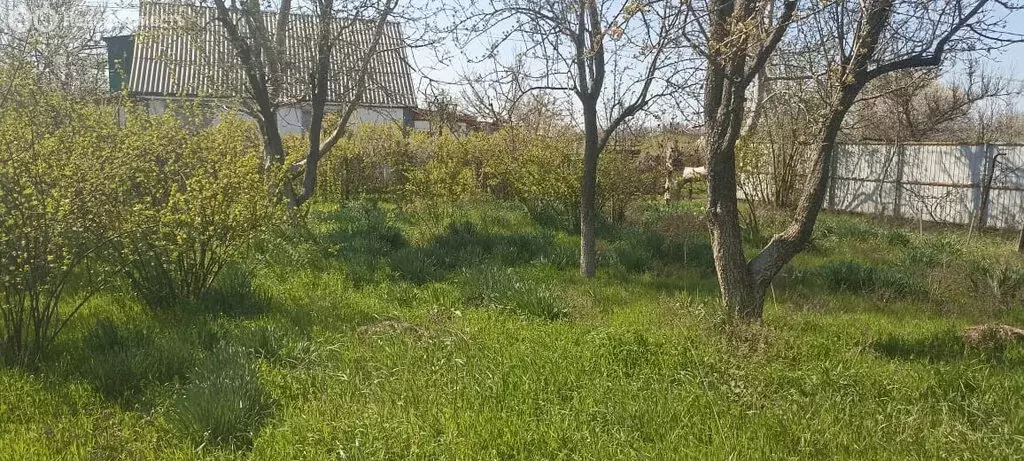 Участок в Широчанка, садовое товарищество Строитель, 2-я дорожка (5 м) - Фото 1