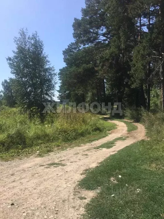 Участок в Новосибирская область, Искитимский район, Быстровский ... - Фото 1
