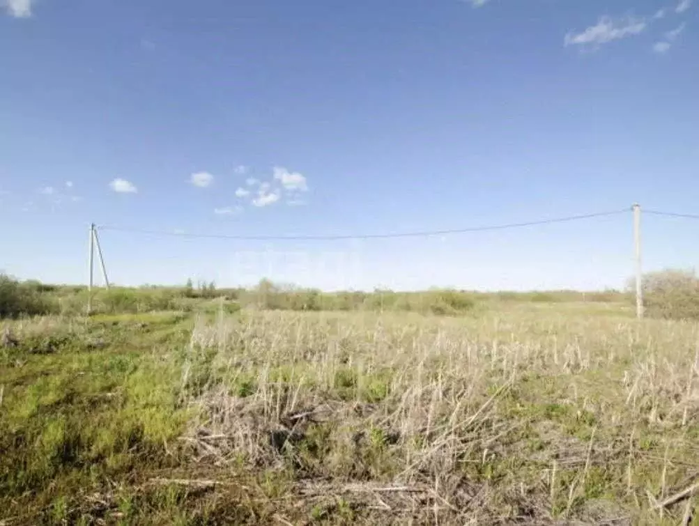 Участок в Волгоградская область, Среднеахтубинский район, Рахинское ... - Фото 1