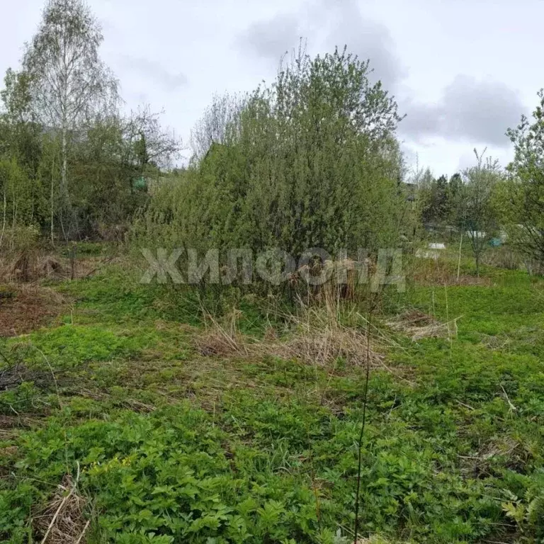 Участок в Томская область, Томск Геолог-1 садовое товарищество,  (6.9 ... - Фото 0