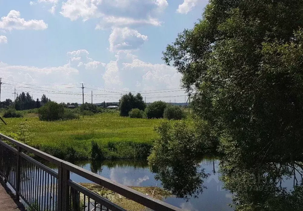 Участок в Ленинградская область, Всеволожский район, Романовское ... - Фото 2
