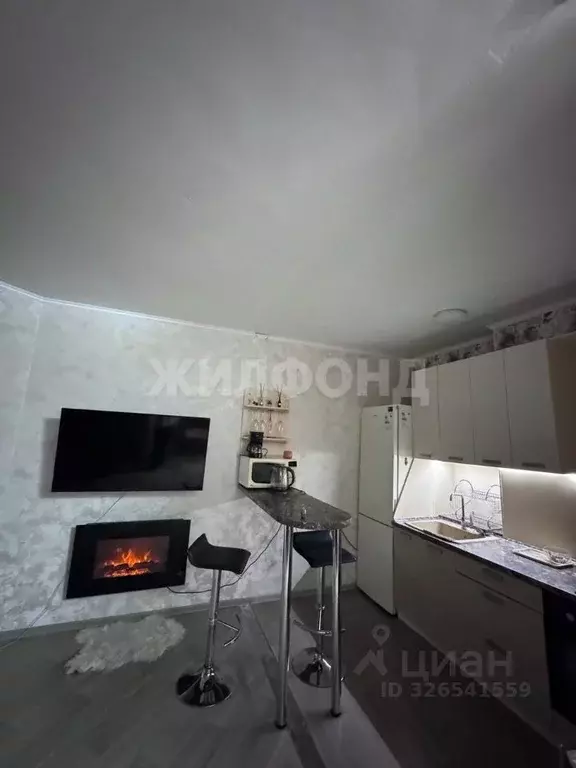 Студия Новосибирская область, Новосибирск ул. Олеко Дундича, 1/3 (25.0 ... - Фото 2