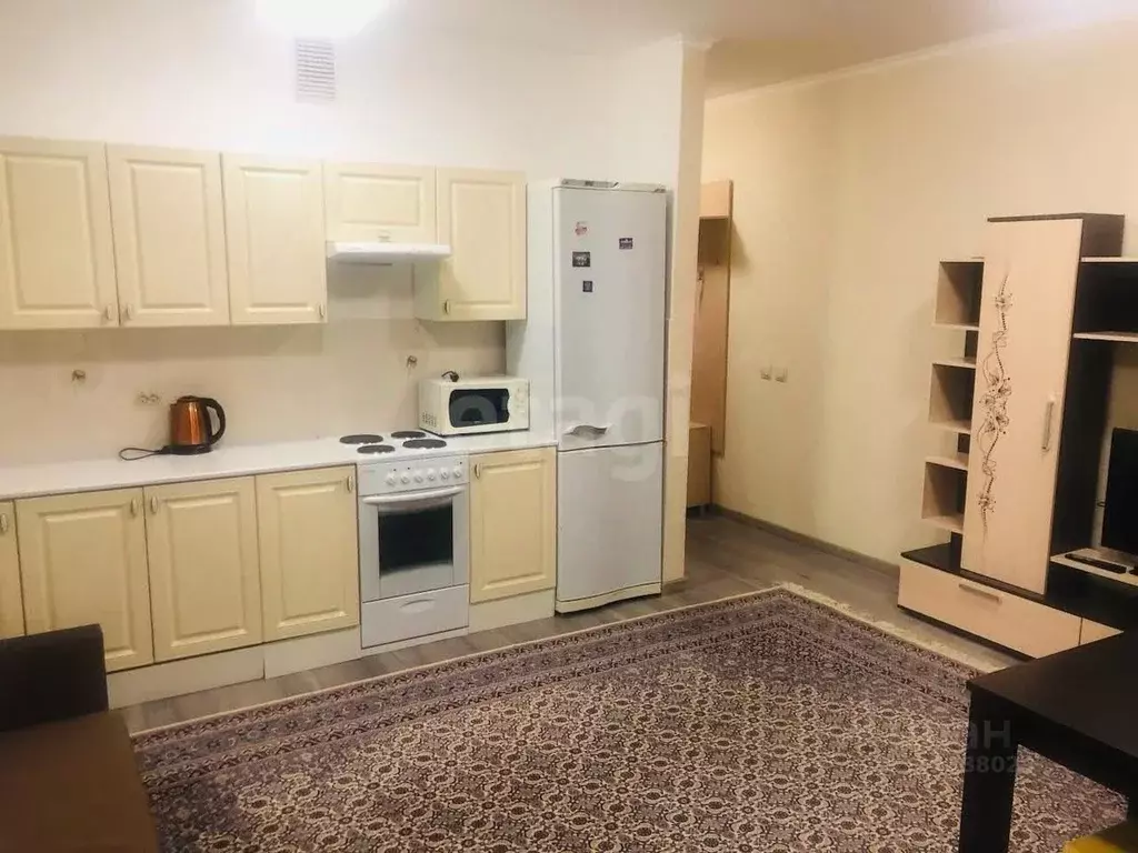 Студия Ямало-Ненецкий АО, Новый Уренгой просп. Губкина, 19 (25.7 м) - Фото 2