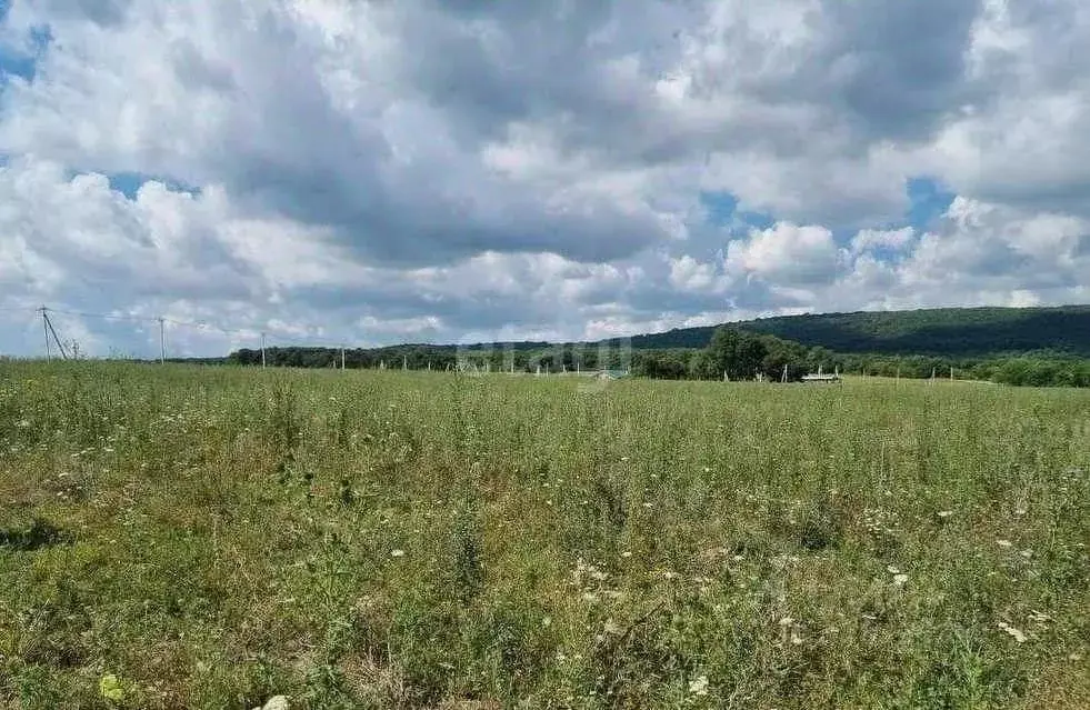 Участок в Краснодарский край, Новороссийск городской округ, ... - Фото 1