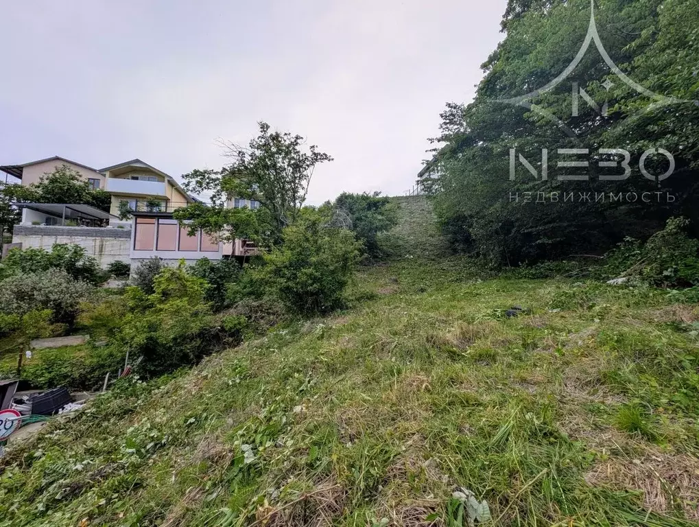 Участок в Краснодарский край, Сочи городской округ, с. Каштаны ул. ... - Фото 1