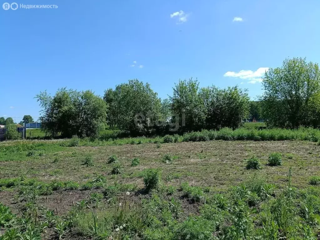 Участок в Юрга, Орловская улица (13.9 м) - Фото 1