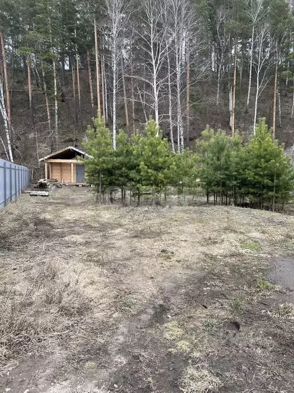 Участок в Новосибирская область, Новосибирский район, Кубовинский ... - Фото 1