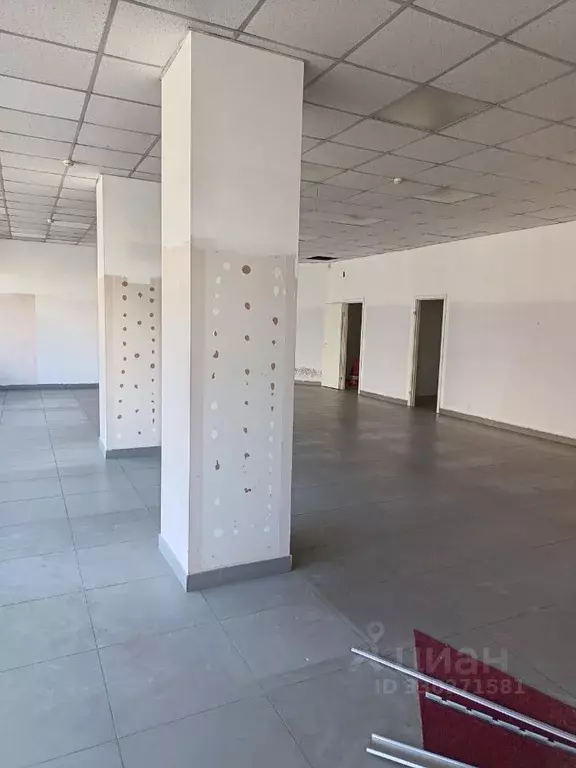 Торговая площадь в Санкт-Петербург просп. Художников, 14 (199 м) - Фото 2