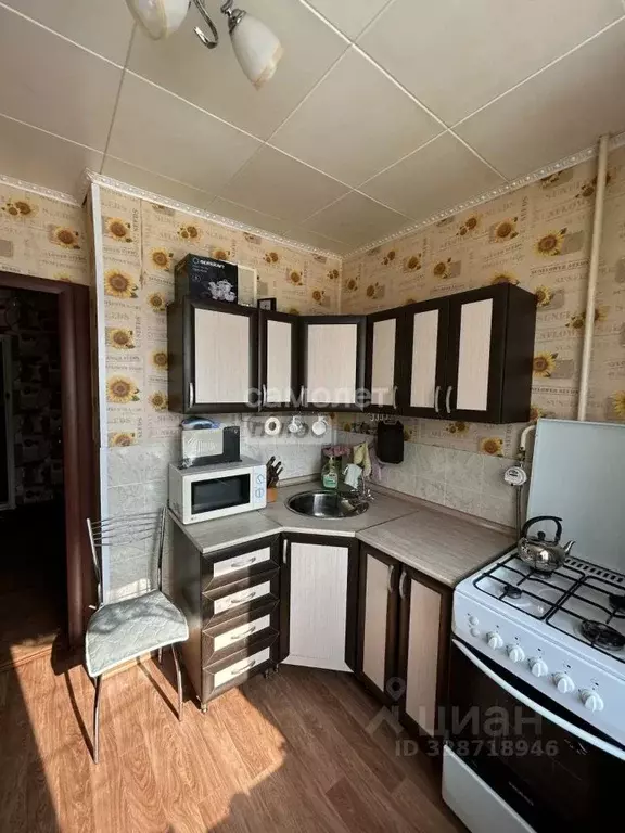 1-к кв. Московская область, Зарайск муниципальный округ, пос. ... - Фото 2