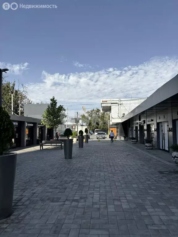 Торговая площадь (46.2 м) - Фото 2
