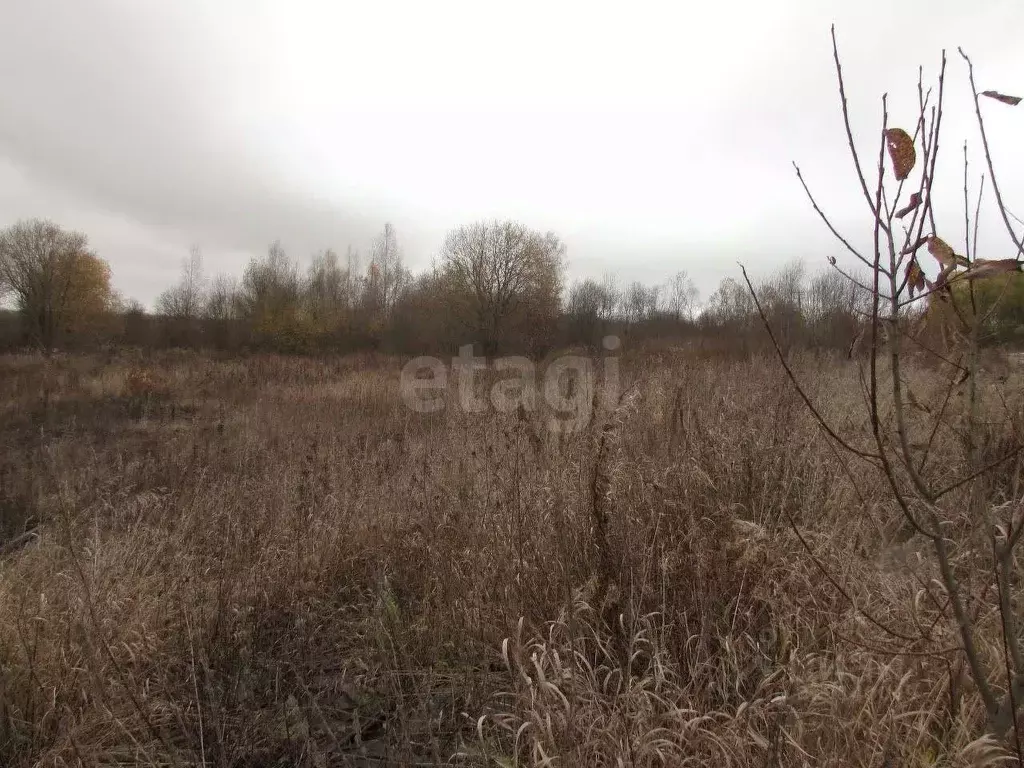 Участок в Вологодская область, Череповецкий район, д. Горка ... - Фото 0