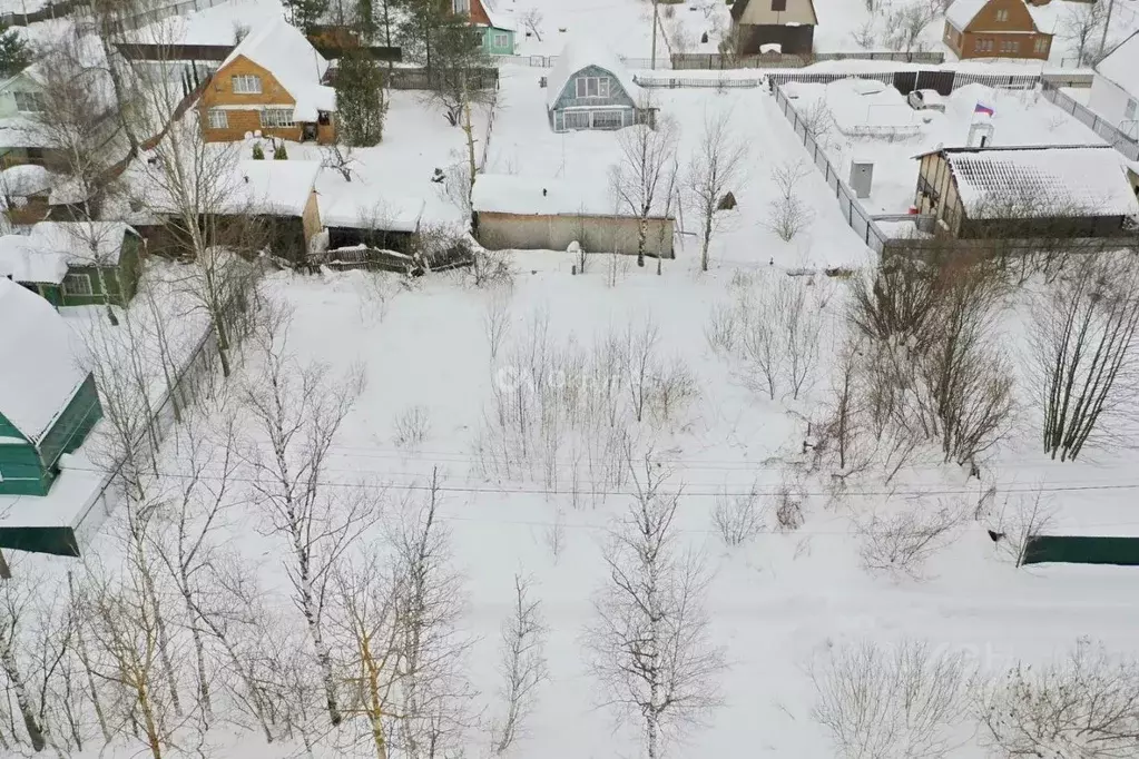 Участок в Московская область, Богородский городской округ, Заря СНТ ... - Фото 1