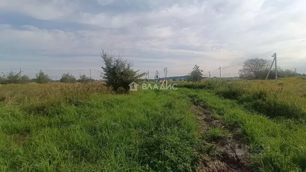 Участок в Калининградская область, Зеленоградский муниципальный округ, ... - Фото 1