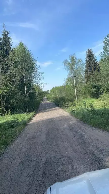 Участок, 6.2 сот., сельхоз (снт или днп) - Фото 0