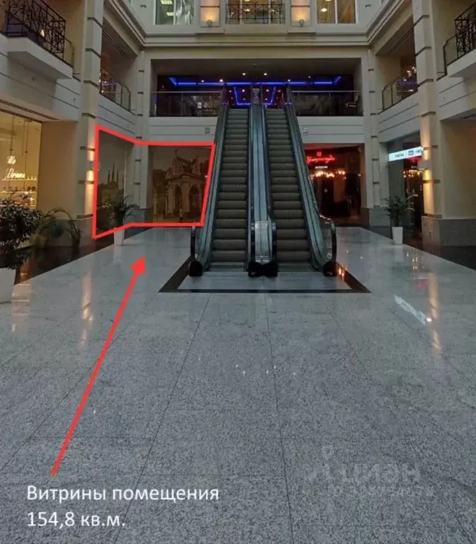 Помещение свободного назначения в Санкт-Петербург Невский просп., 55 ... - Фото 1