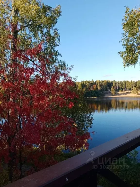 1-к кв. Ленинградская область, Выборгский район, Рощино пгт ул. ... - Фото 0