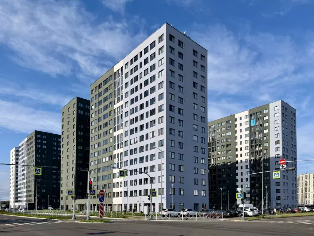 2-к кв. Санкт-Петербург пос. Парголово, ул. Новокузнецкая, 8 (49.8 м) - Фото 1