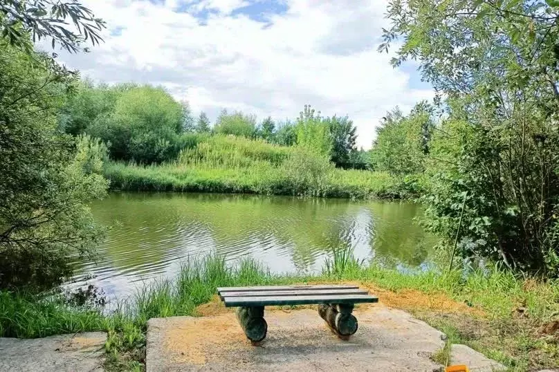 Дом в Московская область, Ленинский городской округ, с. Остров ул. ... - Фото 1